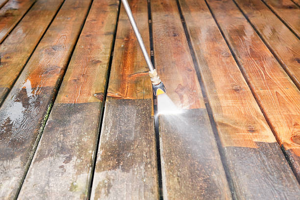 Best Dumpster Area Cleaning  in Beverly Hills, FL